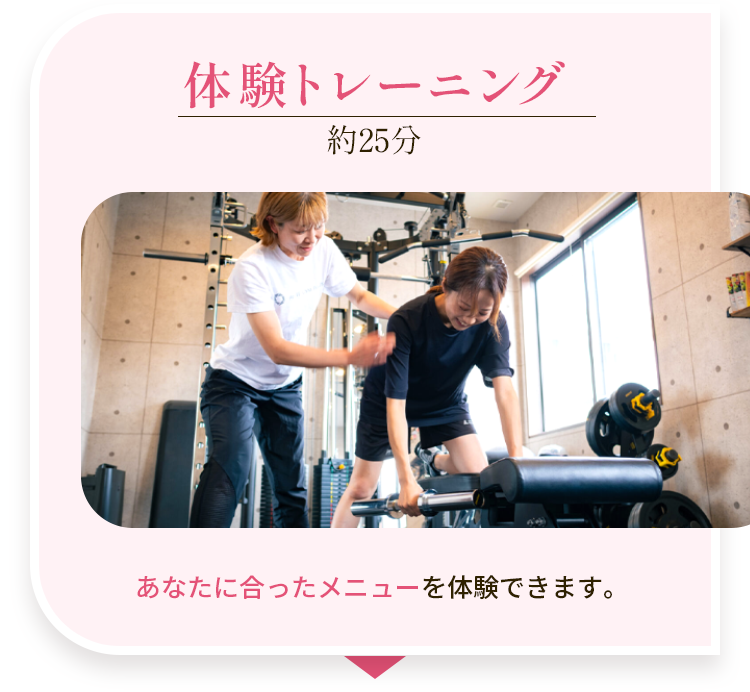 体験トレーニング