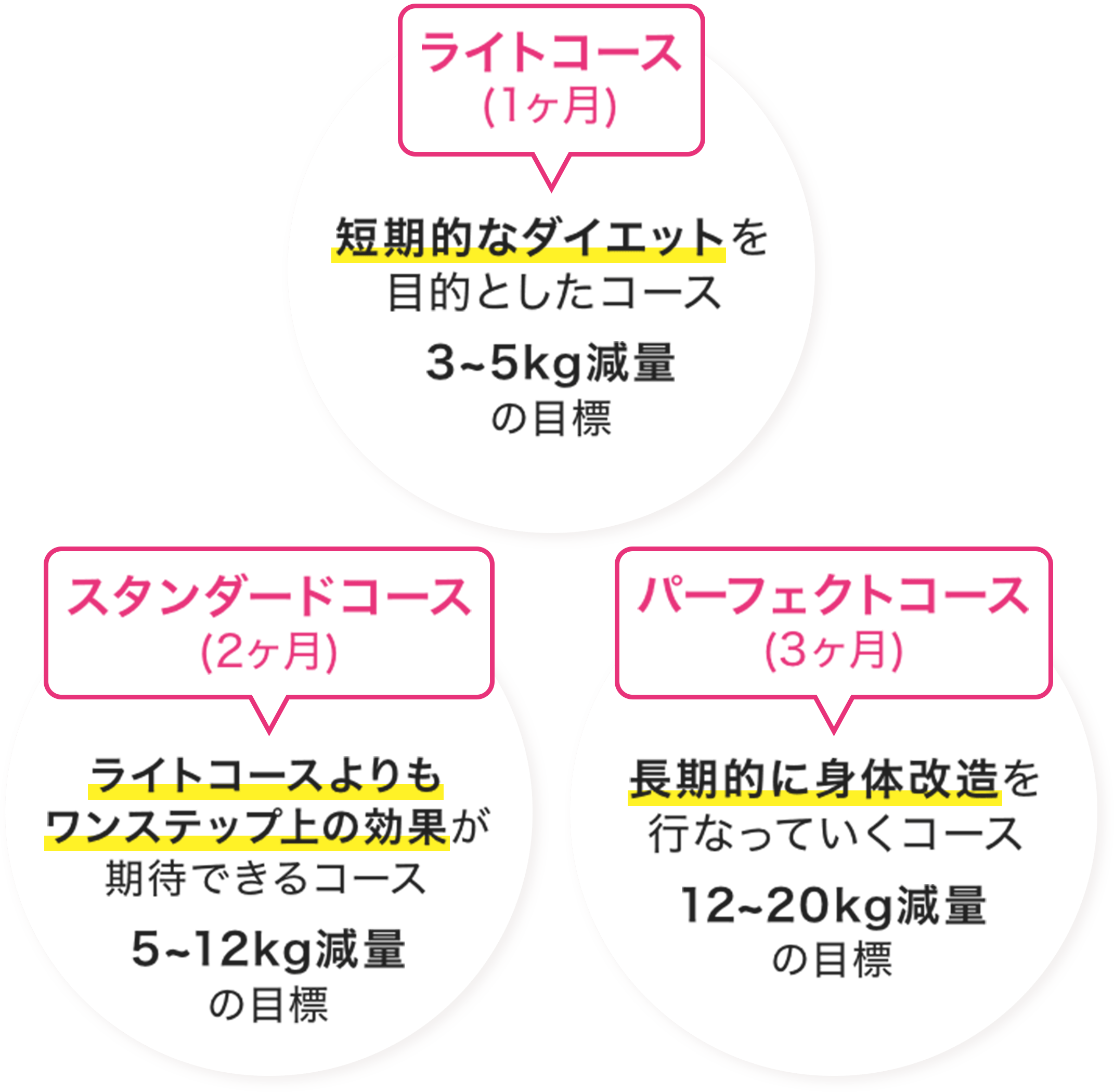 ライト、スタンダード、パーフェクトの3つのダイエットコース